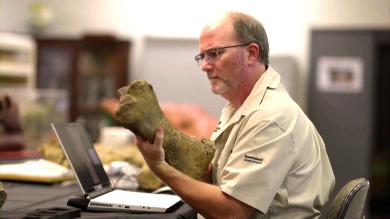 Australotitan. Paleontologové identifikovali jednoho z největších dinosaurů na světě